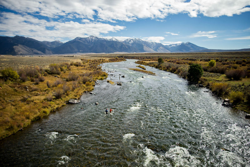 Montana Angler Fly Fishing - 