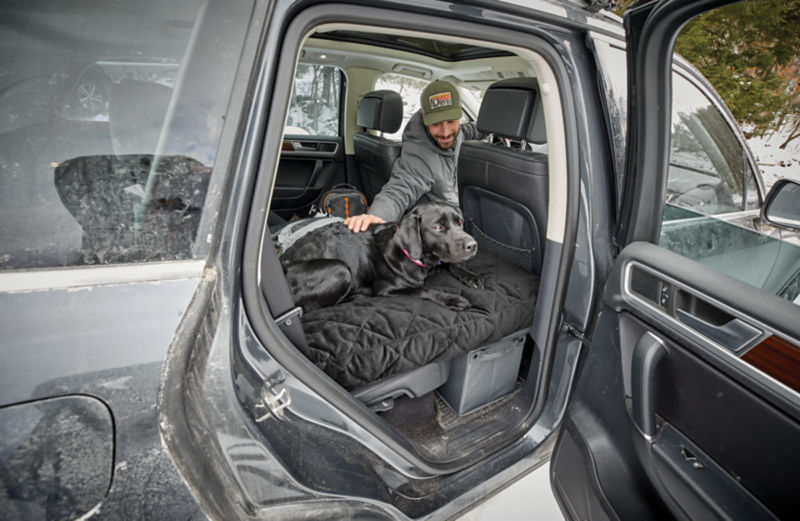 A dog sitting in the backseat of a car on their couch bed insert.