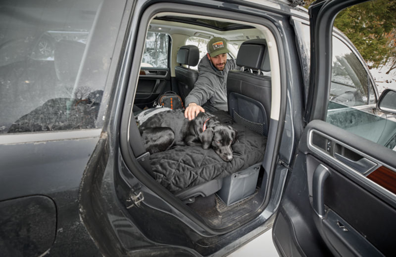 Charley reaches from the driver seat into the backseat to comfort his dog.