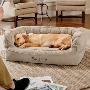Yellow Lab asleep on an Orvis Memory Foam Couch Dog Bed as its owner reads the paper.