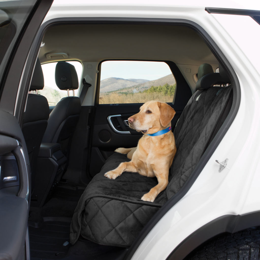 Dog in the back seat of a vehicle on a black Orvis seat cover