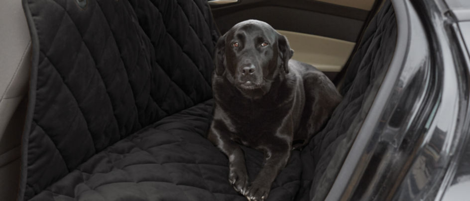 A Black dog laying down in the back seat of a car on a black  Grip-Tight® Quilted Microfiber Hammock Seat Protector