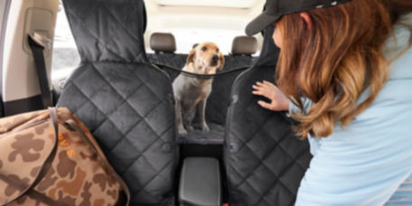 A dog in the back seat of a car looking at a woman through a windowed seat protector  in the driver's seat.