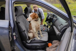 A dog sitting on a Grip-Tight® Quilted Bucket Seat Protector