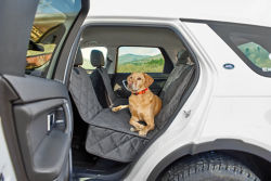 A yellow lab in the back seat of a car sitting on a seat protector