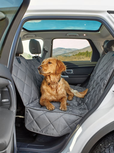 A wet dog lays in the back of a vehicle on a Grip-Tight Backseat Protector