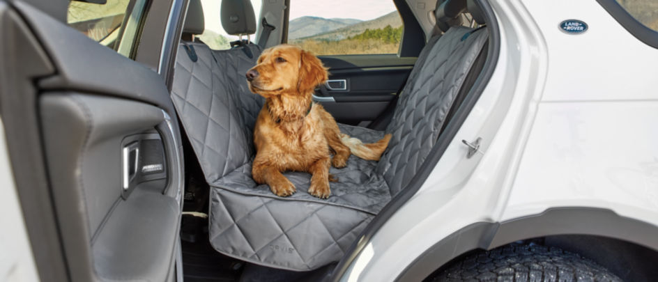 A dog sitting in the back seat on a car on a Grip-tight seat protector