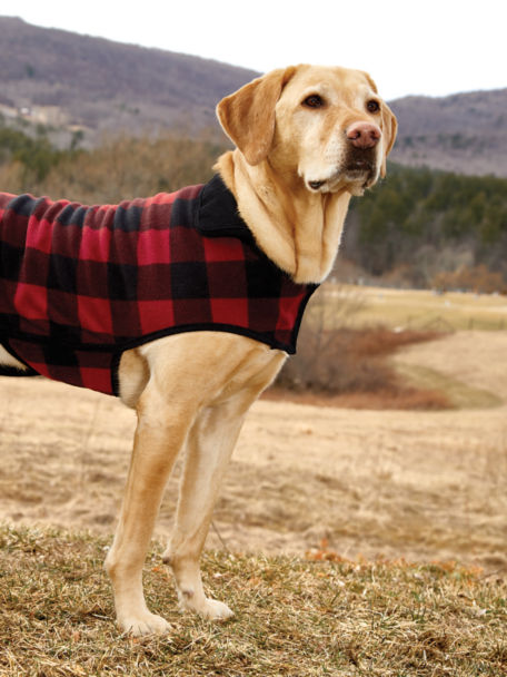 A dog in a red and black weaved flannel dog jacket outside in a field.