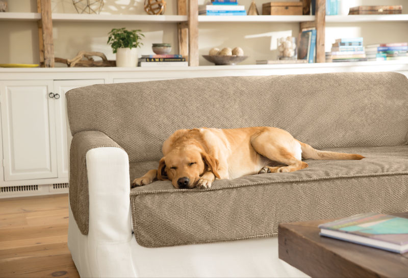 Orvis couch 2025 covers for dogs