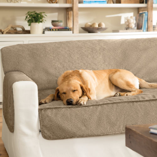 A golden retriever sleeping on a couch protector on a white couch