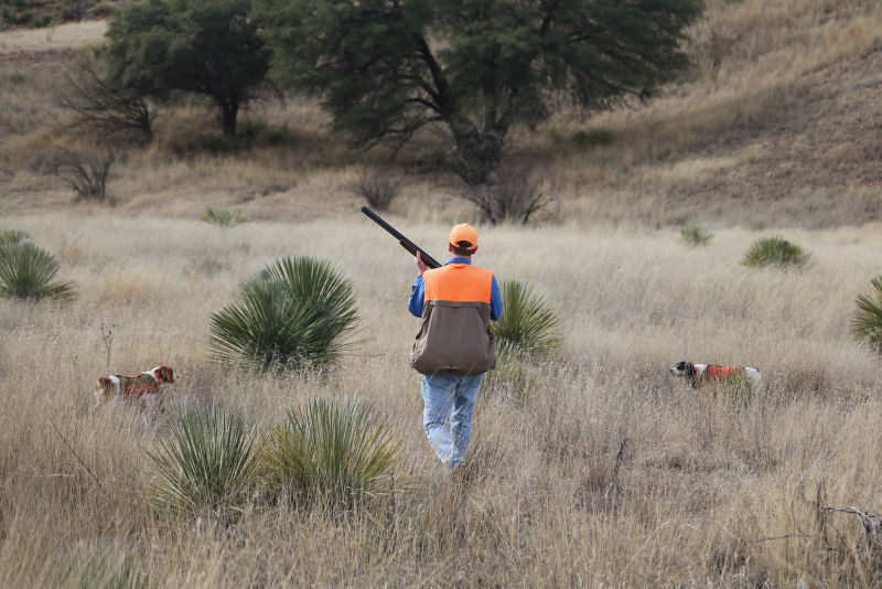 Mark Nissen &ndash; Classic Bird Hunts, AZ -  image number 3