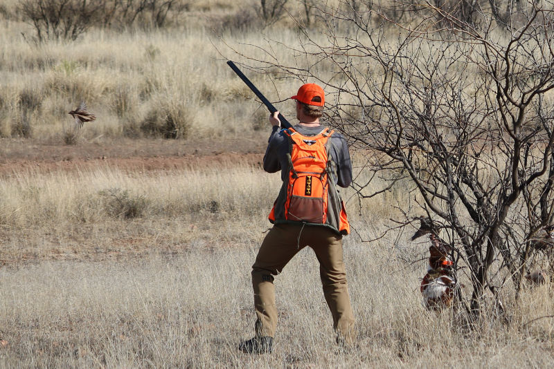Mark Nissen &ndash; Classic Bird Hunts, AZ -  image number 4