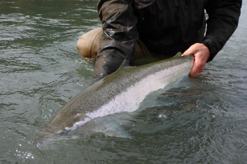 Chrome Chasers Fly Fishing, WA -  image number 4