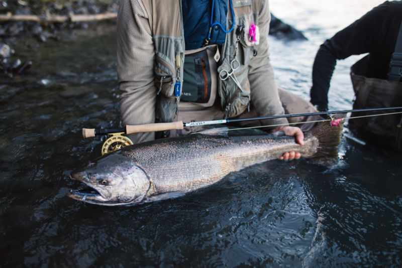 Chrome Chasers Fly Fishing, WA -  image number 6