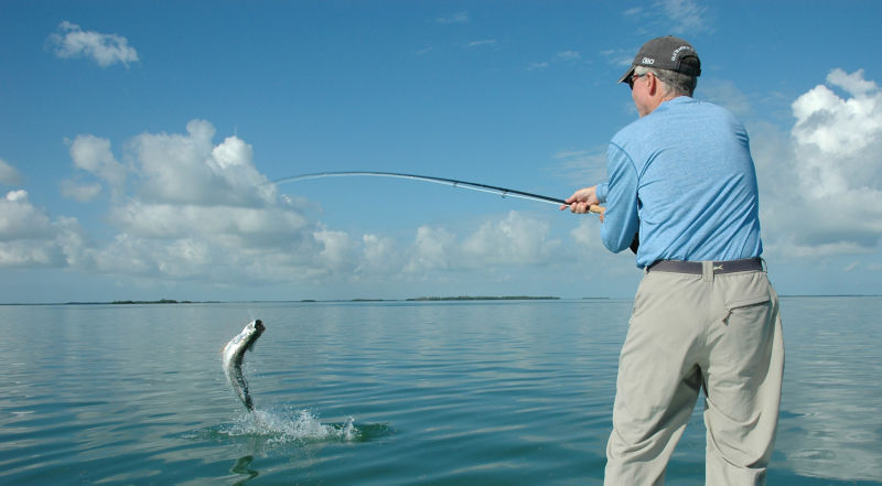 Capt. Todd Ziels -  image number 1