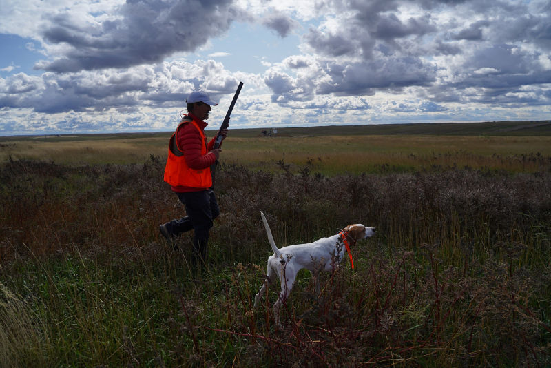 Dave Brown Outfitters - SK - 