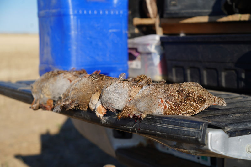 Dave Brown Outfitters - SK -  image number 2