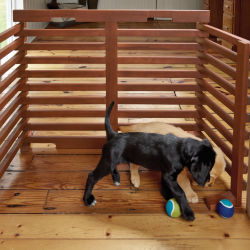2 puppies being kept out of another room by an Orvis dog gate and some tennis ball toys