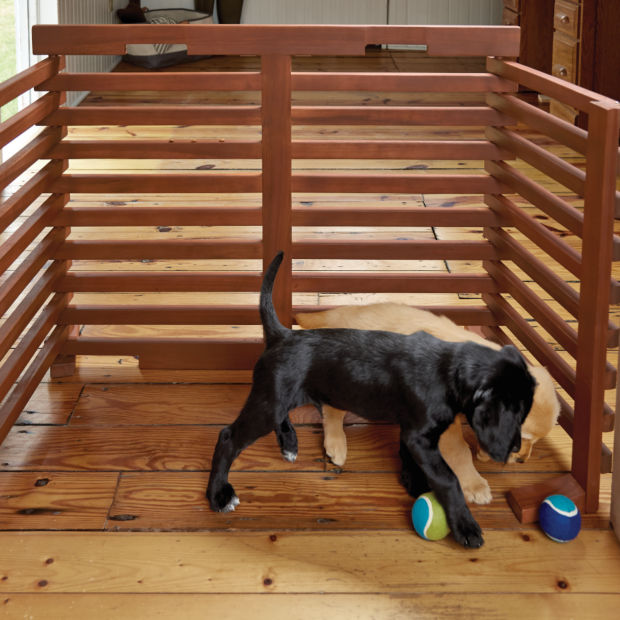 2 puppies being kept out of another room by an Orvis dog gate and some tennis ball toys.