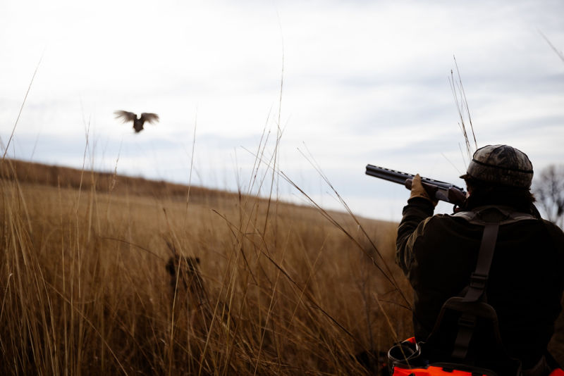 Pheasant Bonanza, NE -  image number 3