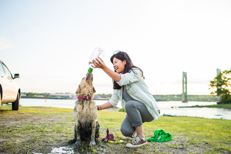 A woman giving her muddy golden retriever dog an outdoor portable shower