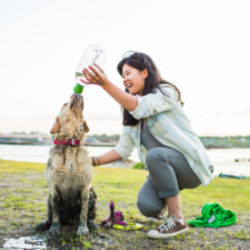 A woman giving her muddy golden retriever dog an outdoor portable shower