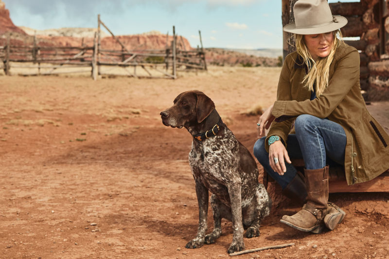 A German Shot-Haired Pointer in a leather collar with brass hardware sitting on a dirt road