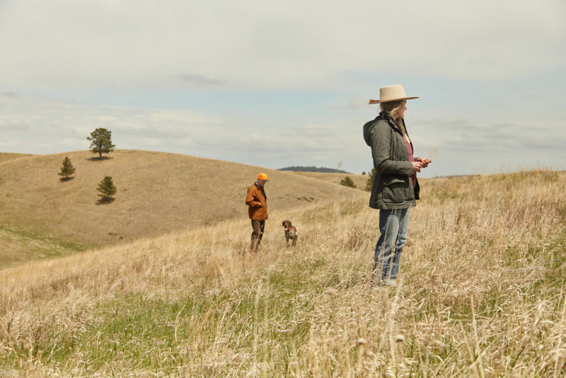 A woman, man, and a dog walk in a golden field.