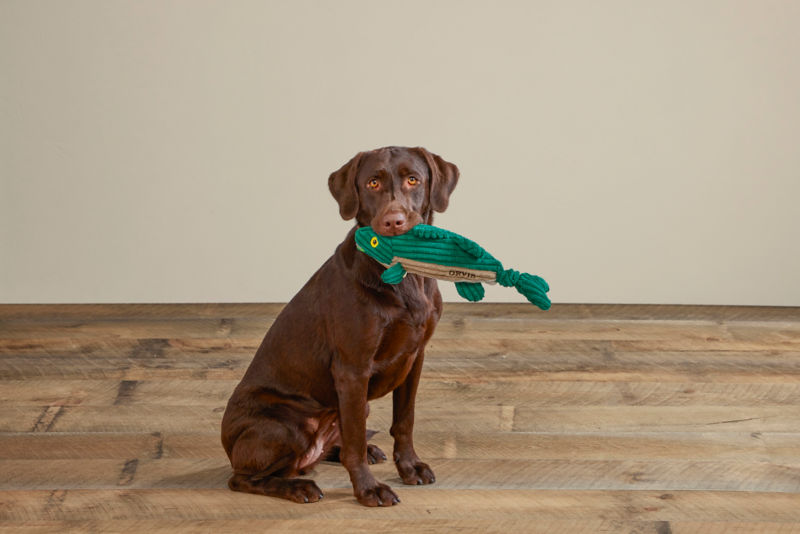 Animal Squeaky Toys - LARGEMOUTH BASS image number 2