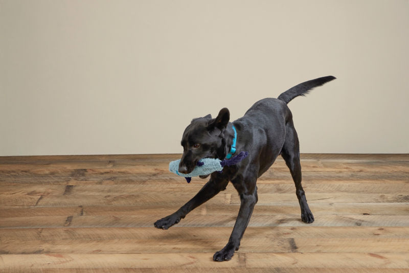 Animal Squeaky Toys - TARPON image number 2