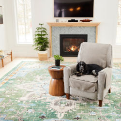 A black dog sitting on a furniture protector covering a chair in a living room 