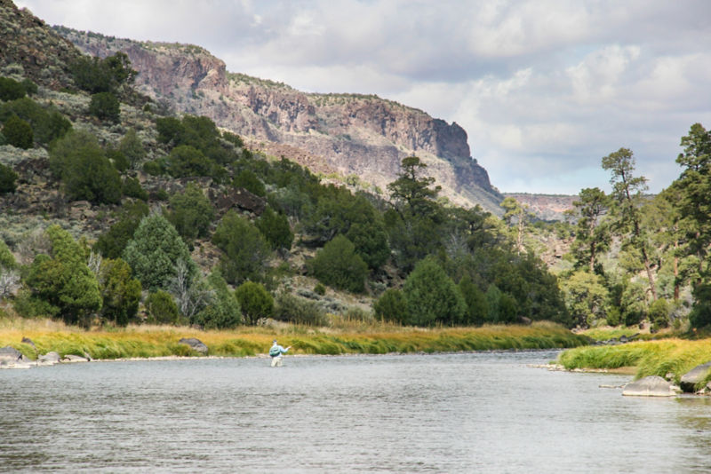 The Reel Life, NM -  image number 3