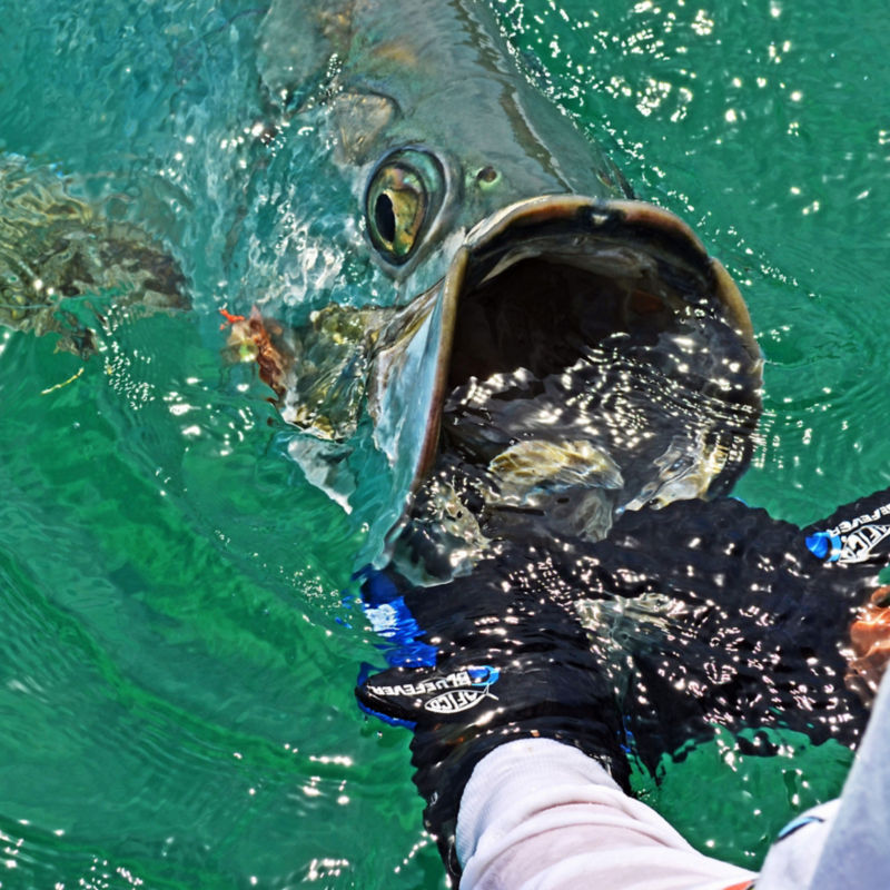 Florida Keys Outfitters, FL - 