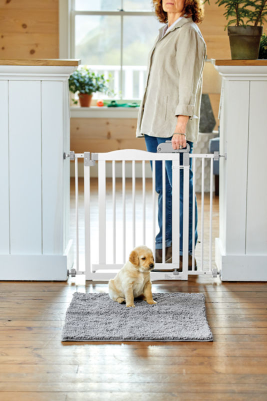 A small yellow lab puppy sitting in front of a white dog gate