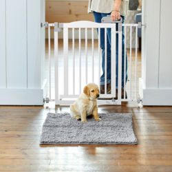 A small yellow lab puppy sitting in front of a white dog gate