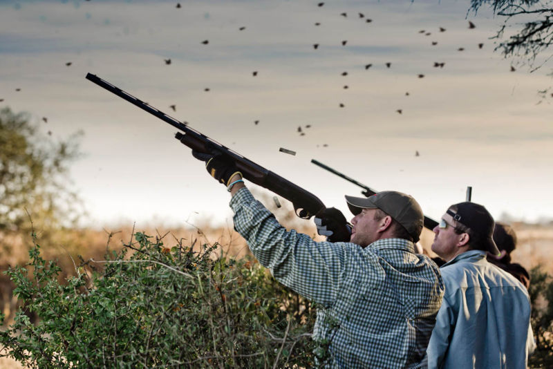 Los Chanares -  image number 4