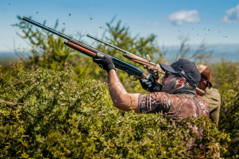 Sierra Brava -  image number 1