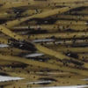 Silicone Legs - OLIVE