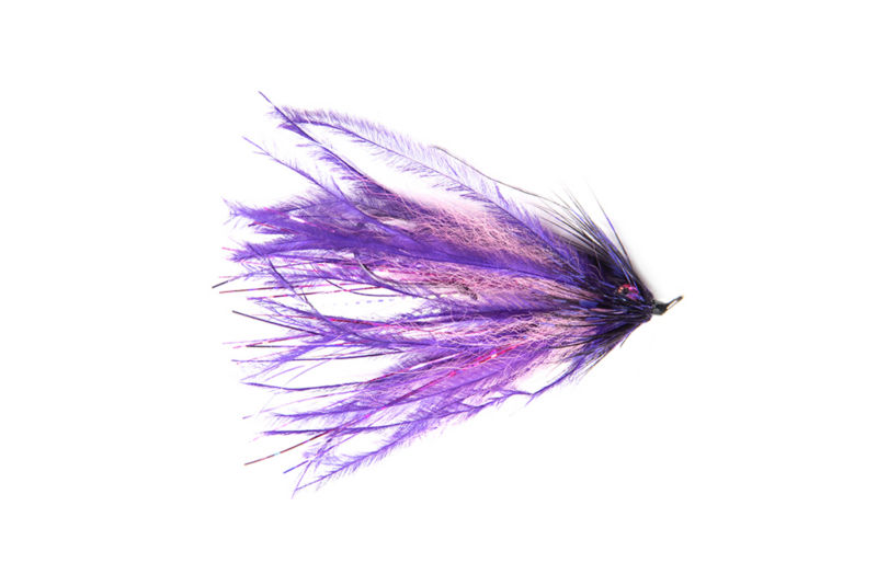 Intruder - PURPLE/PINK