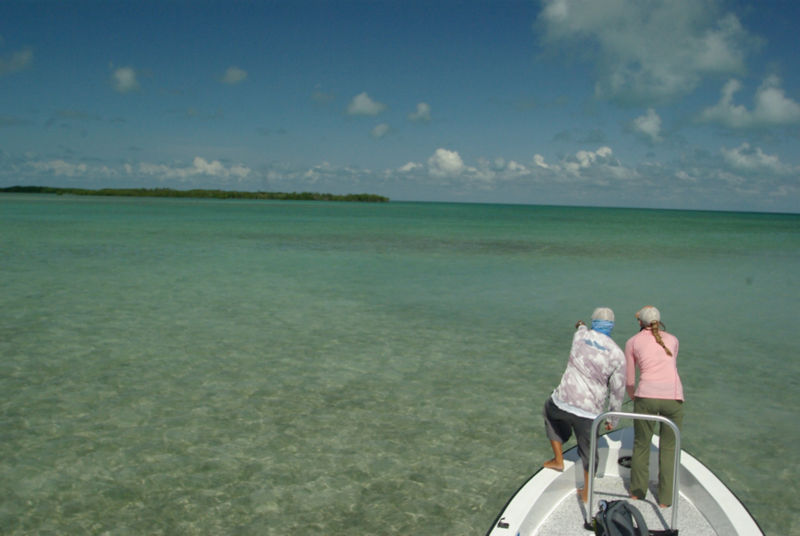 Two anglers fly fishing from a boat in Belize.