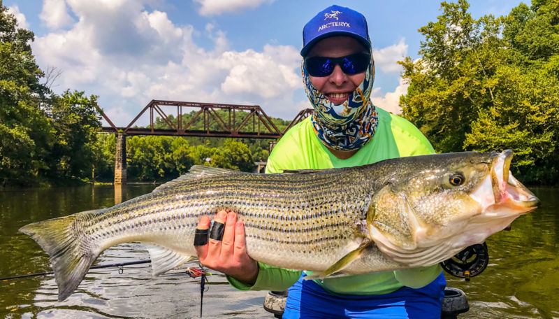 James Johnsey -  image number 1