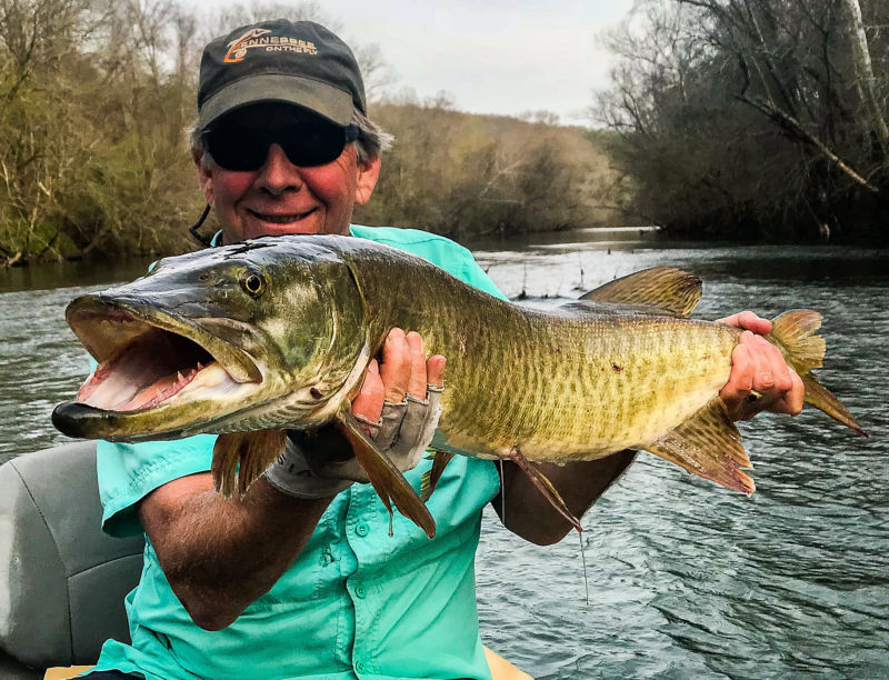 James Johnsey -  image number 2