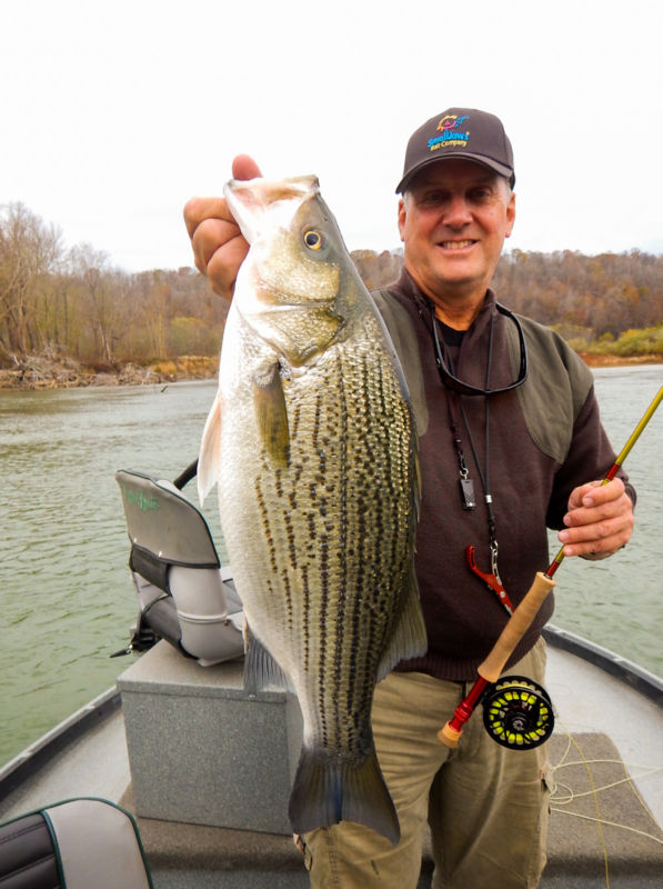 James Johnsey -  image number 4