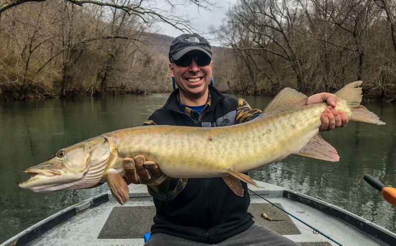 James Johnsey -  image number 5