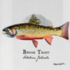 Angler&rsquo;s Pint Glass - BROOK TROUT