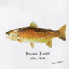 Angler’s Pint Glass - BROWN TROUT