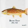 Angler&rsquo;s Pint Glass - BROWN TROUT