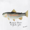 Angler’s Pint Glass - RAINBOW TROUT