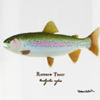 Angler&rsquo;s Pint Glass - RAINBOW TROUT