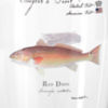 Angler’s Pint Glass - REDFISH